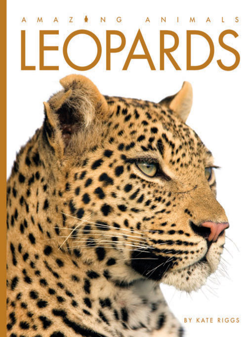 Title details for Leopards by Kate Riggs - Available